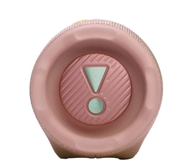 Altavoz Bluetooth JBL Charge 6 (Rosa)