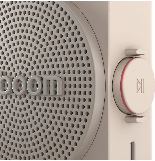 Altavoz Inalámbrico LG XBOOM Mini (Gris)