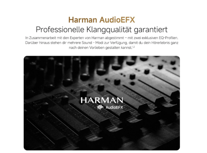 Xiaomi OpenWear Stereo Pro (Gris)